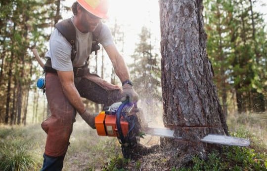 Chain Saw